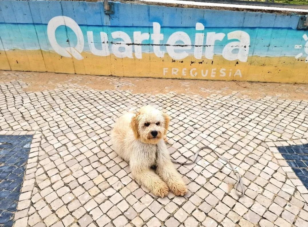 Studio Praia De Quarteira Eksteriør bilde